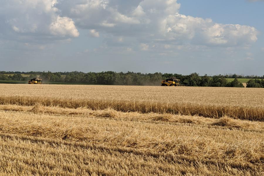 У Сахновщинському районі вже зібрали 63% ранніх зернових
