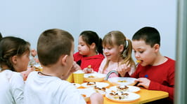 За сприяння Харківської ОВА в навчальних закладах регіону впроваджують реформу шкільного харчування