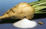 На Харківщині вироблено 53,7 тисяч тонн цукру із сировини нового врожаю