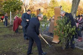 Бузок у саду імені Т.Г. Шевченко зробить Харків ще більш гарним містом