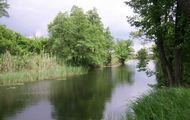 У Харківській області розроблена міжрегіональна екологічна програма щодо оздоровлення річки Сіверський Донець