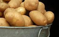 У 2012 році в Харківській області виростили більше картоплі