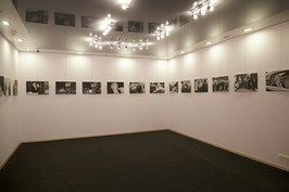 В галереї «Бузок» відкрилася фотовиставка «Миттєвості "Харьковской сирени"»