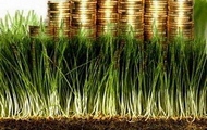 У Харківській області планується довести середній розмір плати за гектар орендованої землі до 1 тис. грн.