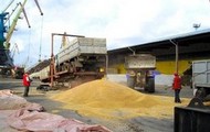 В Харківській області налічується 60 хлібоприймальних підприємств
