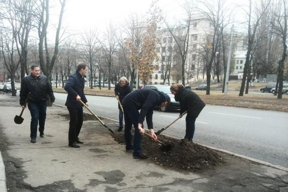Харьков присоединился ко всемирной инициативе «Деревья мира»