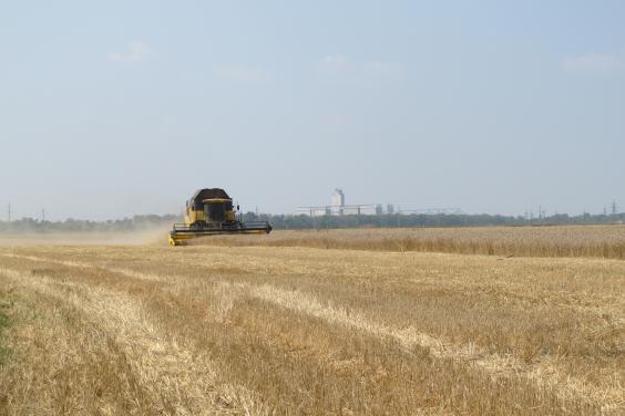 На Харківщині намолотили понад 2 млн тонн озимої пшениці
