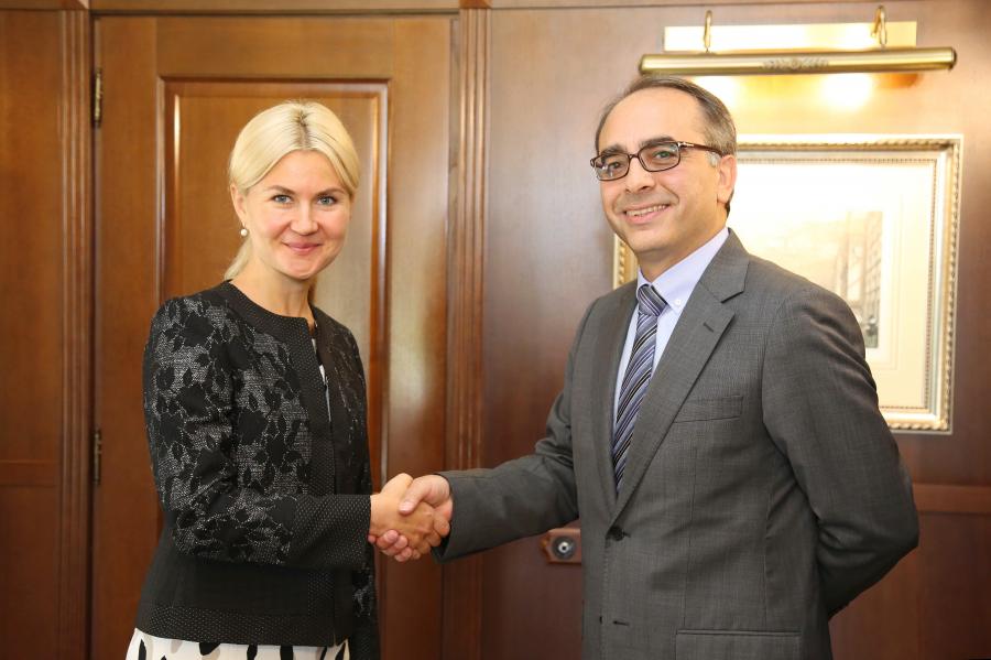 Глава ХОГА провела встречу с Послом Турции в Украине