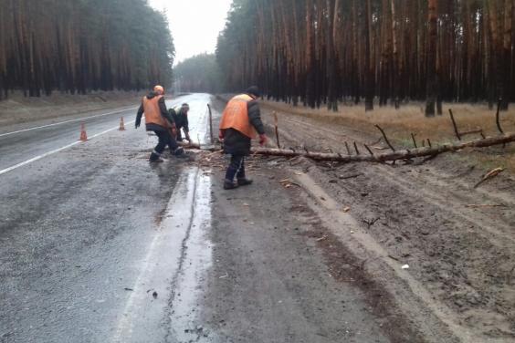 Через вітряну погоду на Харківщині з проїжджих частин прибирають повалені дерева