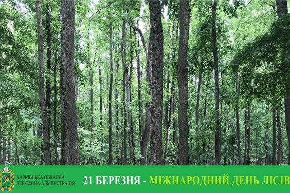 21 марта в мире отмечают День лесов