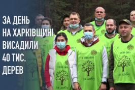 На Харківщині за день висадили 40 тисяч дерев