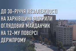Оглядовий майданчик  - це тільки початок робіт у Держпромі. Олександр Скакун