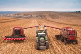 На Харківщині продовжується збирання врожаю пізніх сільськогосподарських культур На Харківщині продовжується збирання врожаю пізніх сільськогосподарських культур