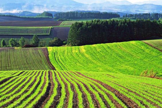 Роз'яснення земельної реформи: джерела походження коштів для купівлі сільськогосподарської ділянки