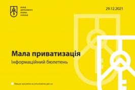Інформаційний бюлетень щодо малої приватизації Інформаційний бюлетень щодо малої приватизації