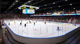 «Льодова арена» - проєкт створення багатофункціонального сучасного спортивного комплексу