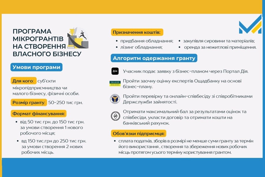 Українці можуть отримати до 250 тисяч грн від держави для започаткування власної справи