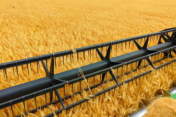 Хозяйства Харьковщины собрали более 800 тысяч тонн зерна нового урожая