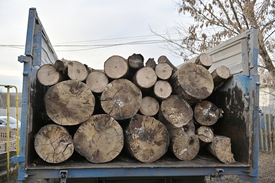 Безоплатну деревину передають жителям Харківщини