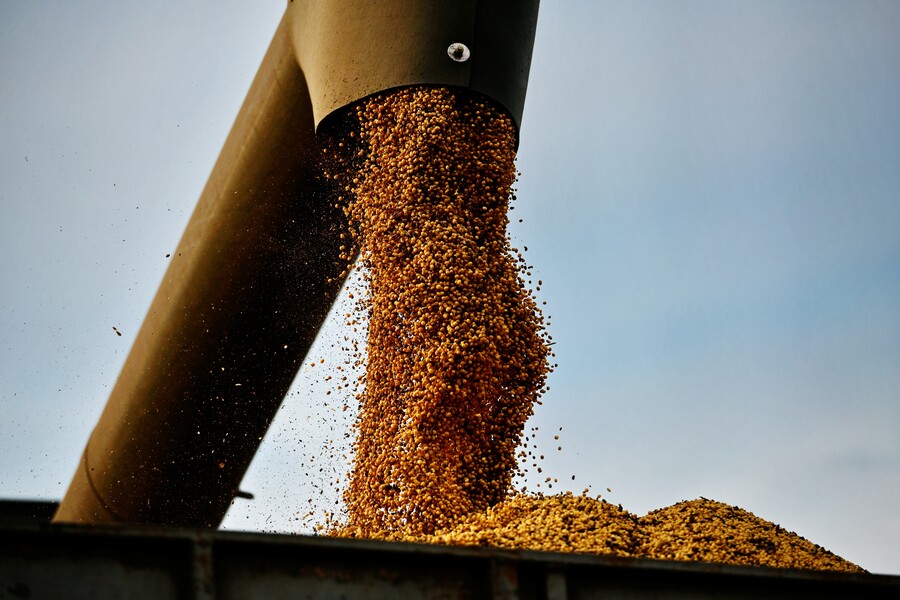 Аграрії Харківської області зібрали 1,9 млн тонн зерна