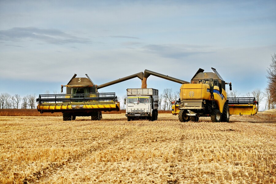 Торік Харківщина експортувала товарів сільгоспвиробництва на понад 377 мільйонів доларів США