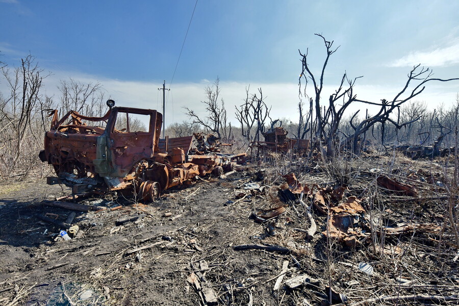 Окупанти могли спалити близько 20 тисяч га лісів Харківщини – попередні обстеження