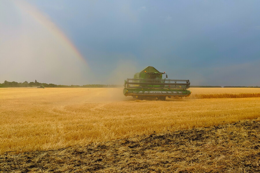 Аграрії Харківщини зібрали більш ніж 643 тисячі тонн зерна нового врожаю