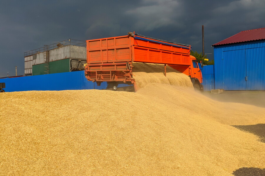 Аграрії Харківської області зібрали майже 1,3 мільйона тонн зерна