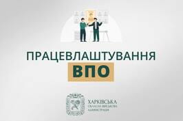 З початку року 2800 ВПО Харківщини отримали роботу – Олег Синєгубов