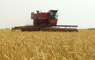 У Харківській області намолочено перші 200 тонн зерна