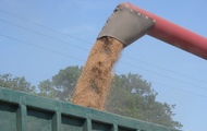 Озимої пшениці в області намолочено 331,7 тис тон