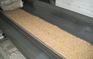 На сьогоднішній день на хлібоприймальні підприємства області вже надійшло 57,6 тис. тонн зерна продовольчої пшениці