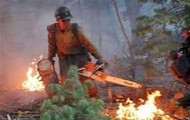 Середня площа однієї лісової пожежі в Харківській області складає половину гектара