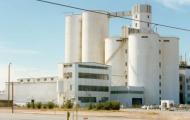 Савінський цукровий завод відновить роботу в 2011 році. Віталій Алексейчук