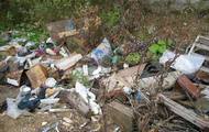 Екологічні служби повинні більш жорстко ставитися до невиконання обов'язків по санітарному очищенню території області. Михайло Добкін