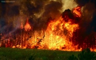 Будьте обережні з вогнем під час відпочинку в лісах та лісопаркових зонах