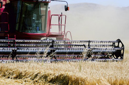 Переробка сільськогосподарської продукції повинна бути поряд з сільгоспвиробництвом. Михайло Добкін