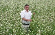 На Харківщині планується зібрати 30 тисяч тонн гречки нового врожаю. Віталій Алексейчук