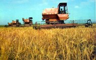 Хлібороби Барвінківщини виконали завдання по виробництву ранніх зернових культур урожаю 2011 року