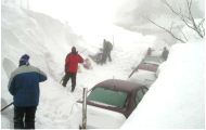У всіх районах і містах Харківської області затверджені схеми розчищення снігу в разі рясних снігопадів. Валентин Дулуб