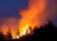 На випадки гасіння можливих великих лісових пожеж в лісових господарствах області створено відомчий резерв паливно-мастильних матеріалів в об’ємі 88 т
