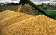 Станом на сьогоднішній день Харківська область більш ніж на 50% виконала план поставок зерна за регіональним контрактом