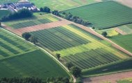 Під урожай 2012 року в Харківській області планується провести посів озимих зернових культур на площі близько 515 тисяч га