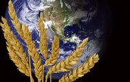 Зростання світового споживання продуктів харчування буде стимулювати підвищення привабливості сільськогосподарського сектора України для іноземних інвесторів. Юрій Сапронов