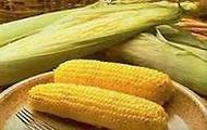 У Харківській області буде збільшено площу посіву кукурудзи на 44% порівняно з 2011 роком