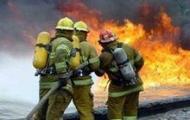 Представники протипожежної служби Бєлгородської області візьмуть участь у командно-штабних навчаннях з гасіння лісових пожеж на території Вовчанського району