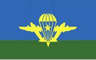 Сьогодні в Харківській області відзначають День високомобільних десантних військ України