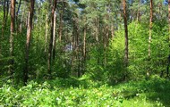 На Харківщині реалізуються заходи з недопущення в'їзду в ліси на час пожежонебезпечного періоду
