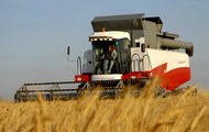 Харьковская область среди лидеров по сбору урожая зерновых культур