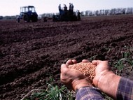 Хід весняно-польових робіт в Харківській області